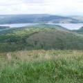 Fairy grass on Meikle Bin summit