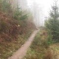 Mountain bike track on The Moyle