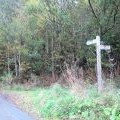 Start of footpath to Dyffryn Hall woods