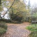 Footpath crossroads, Wootton Common