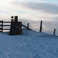 Allermuir Hill: the summit