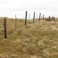 Fence on Corb Law