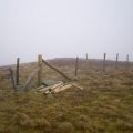 Fence junction at the summit of Pen Trum-gwr