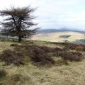 On Balduff Hill