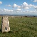 Trig point of Willingdon Hill