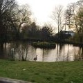 Pond, Mote End Farm