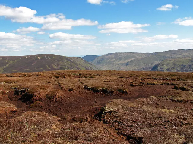 Auchnafree Craig - Perth and Kinross