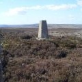 Collier Law trig point