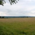 Countryside West of Willingford Lane, near Brightling