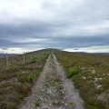 Carn Daimh track