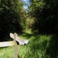 Footpath junction, Wootton Common