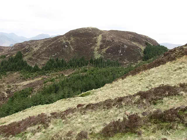 Meall a'Chapuill - West Dunbartonshire