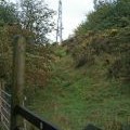 Beacon Ring Mast