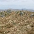 The summit of Beinn Chochan