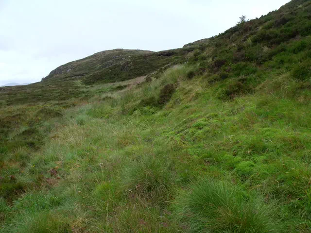 Binnean nan Gobhar NE Top - West Dunbartonshire