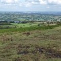 Bridleway on the Mendips