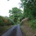 Steep Hill on the Sheepwalks Lane, Kinver