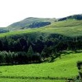 Turnhouse and Carnethy hills from lane to Glencorse