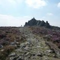 Footpath approaching Manstone Rock on Stiperstones