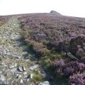 Manstone Rock, late summer