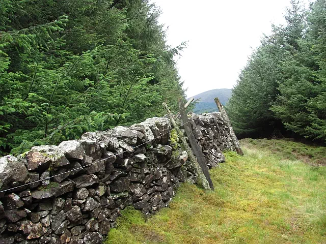 Rough Side - South Lanarkshire