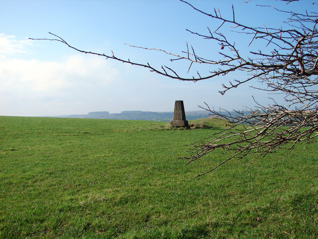 Old gr. Del Hill uk.