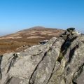 Summit vegetation and rock tor of Round Knott