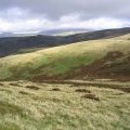 The rolling Cheviot Hills