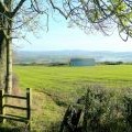 Path to Hazel Court