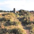 Summit of Withycombe Common