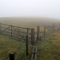 Mist on the summit of Dun Law