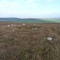 Rhossili Down - Cairn III