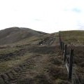 Fence and track on The Gyle