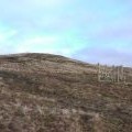 New deer-fence on Whitehope Heights