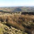 Dyke junction on Ferniehirst Hill