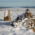 Cairn and trig point, Dundreich