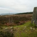 Trig point on Withycombe Common