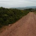 Crossing Withycombe Common