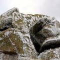 Rimed cairn stones, Mountbenger Law