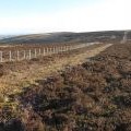 New fence on Dunlee Hill