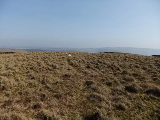 Gwaun Lydan - Gwynedd