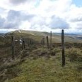 Double line of fence posts near the summit of Cardon Hill