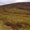  South-east slopes of Hill of Mondurran near Glen Lethnot
