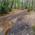 The Orange Way in Devon (310)