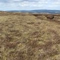 The summit, Beinn Ghuilean