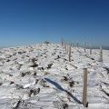 Summit, Cardon Hill