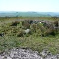 Summit of Cilfaesty Hill