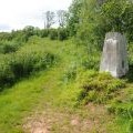 Trig point in Long Hill Wood