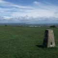 Trig Point, Willingdon Hill