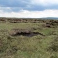 Peat Groughs on Yockenthwaite Moor